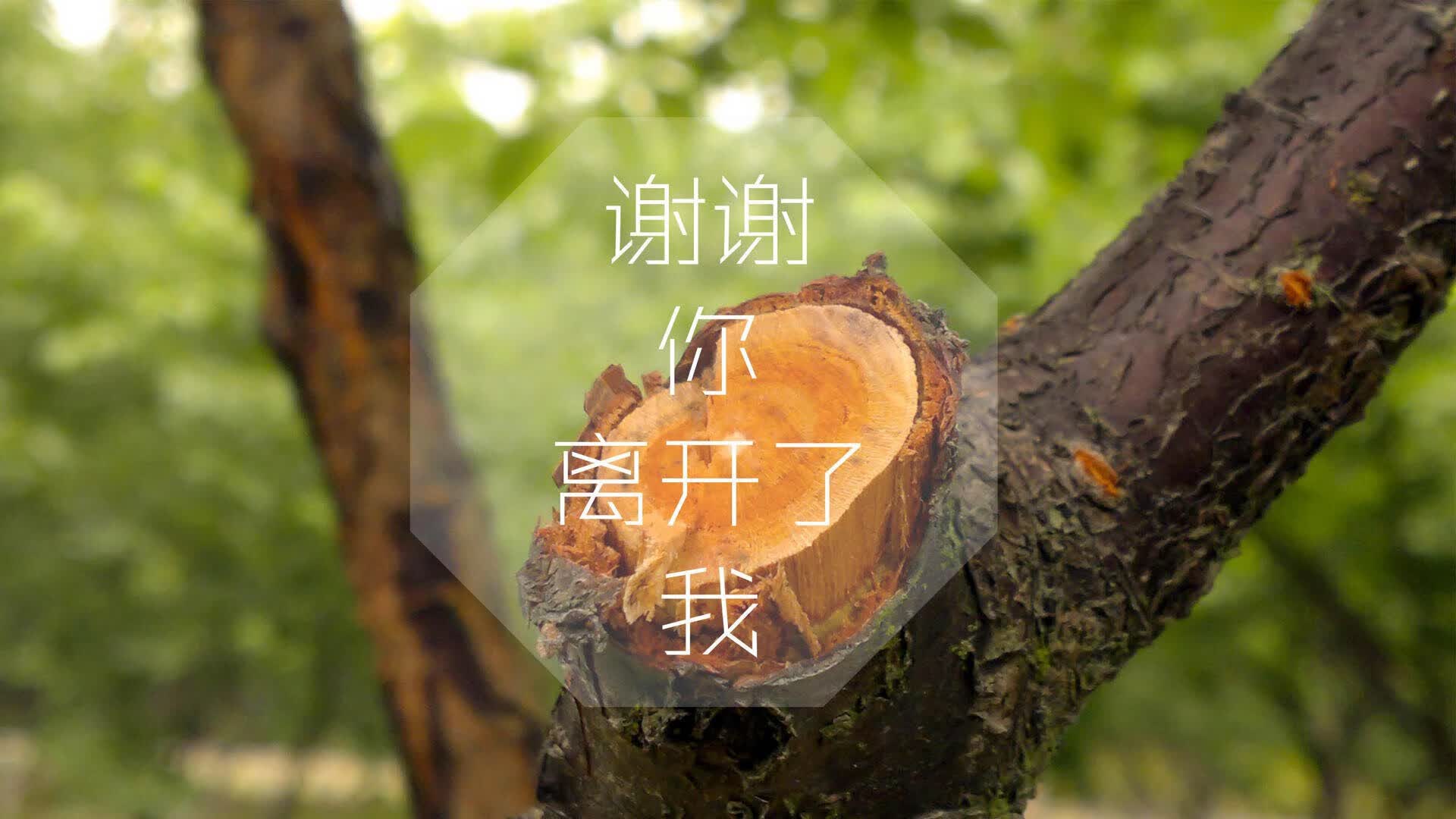 世界乒乓球联赛赛场文化活动与青少年互动成果汇报,乒乓球赛事主题